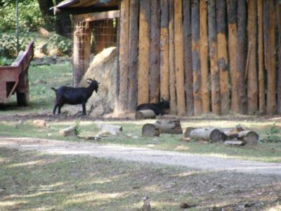 Animal game-preserve near Devil furnace