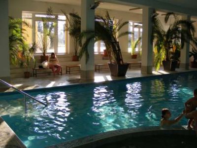 Swimming pool in hotel Park