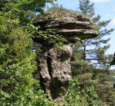Rock mushroom in Markusovce