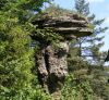 Rock mushroom in Markusovce